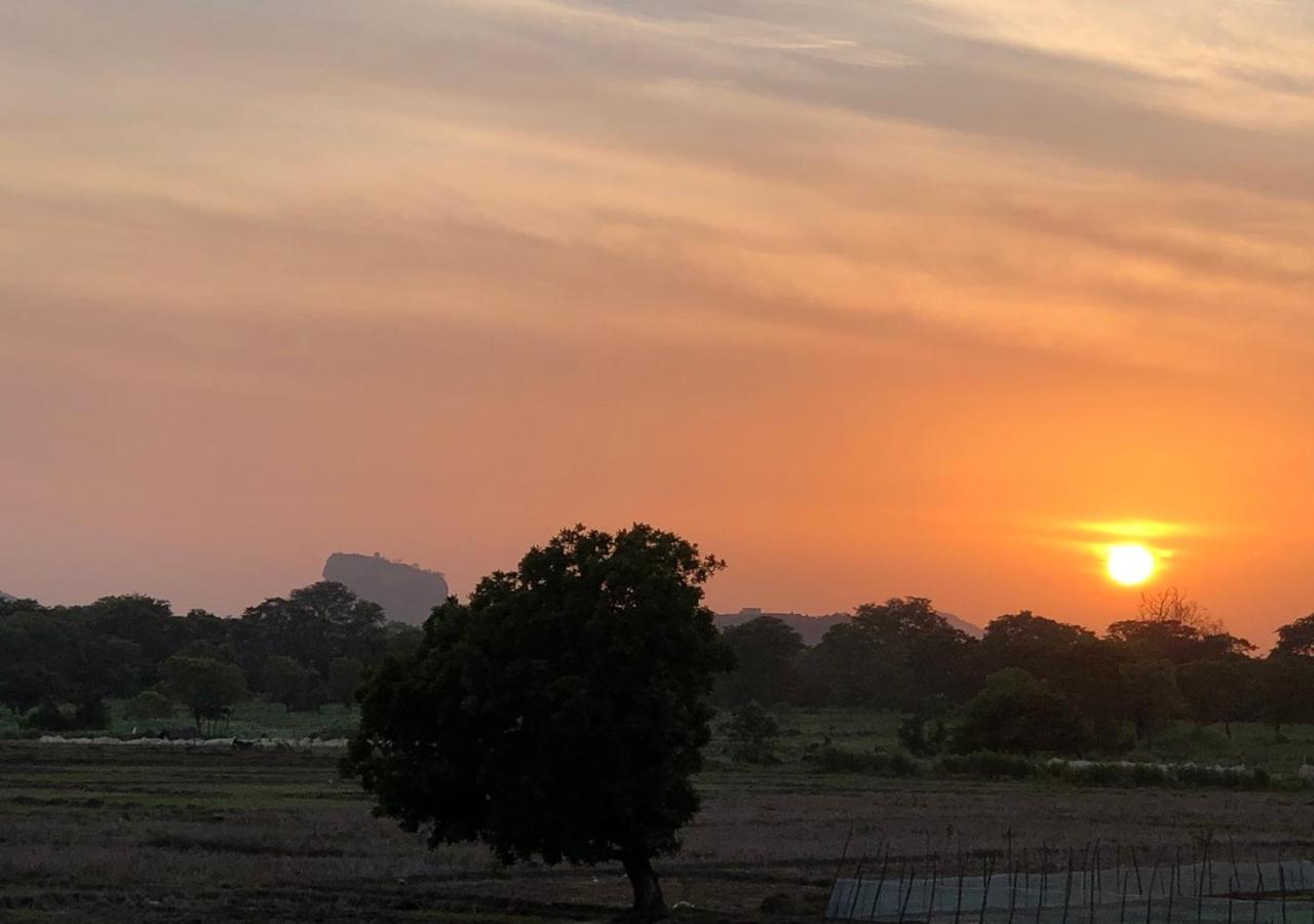 Atteriya Sigiriya Hotel Eksteriør billede